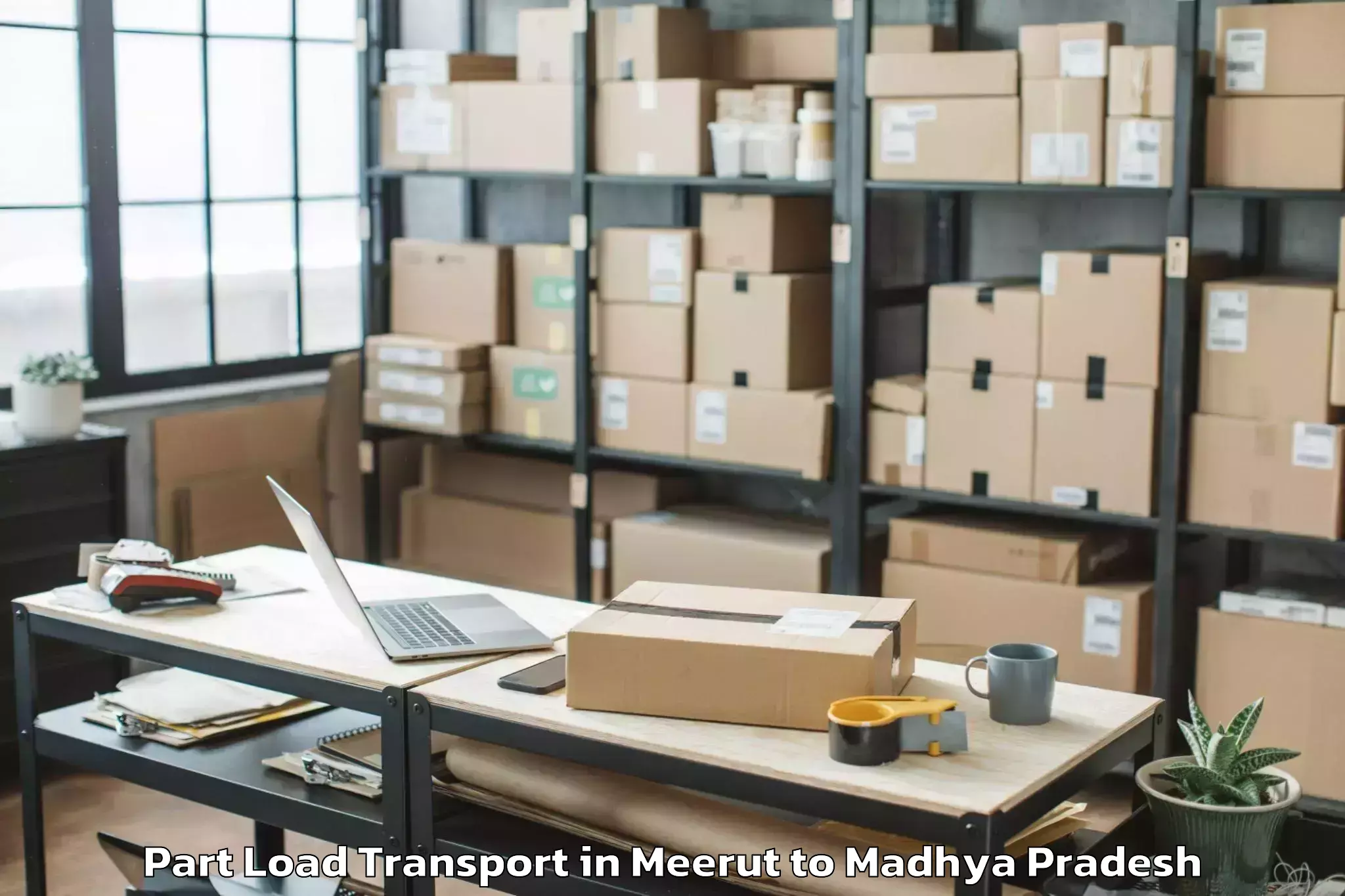 Expert Meerut to Prithvipur Part Load Transport